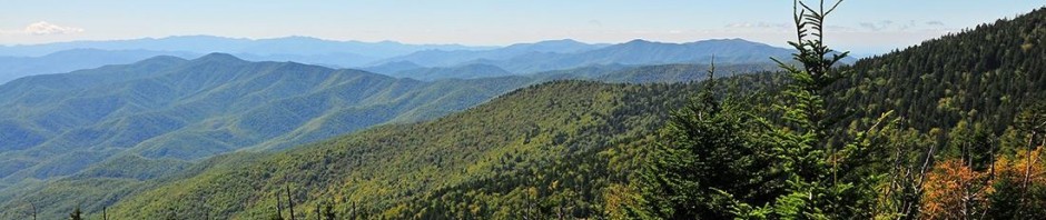 Tennyson & Lisa's Blog